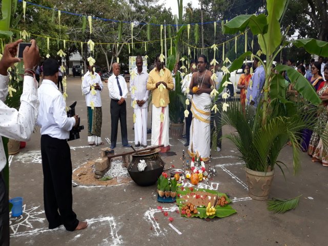 Thaipongal Festival_16.01.2019